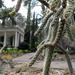 The Phelan Cactus Garden